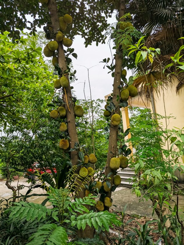 PXL_013824809b.JPG
