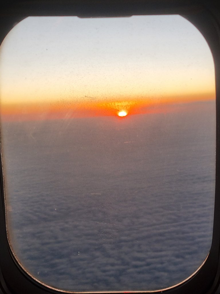 20250402_185048.jpg