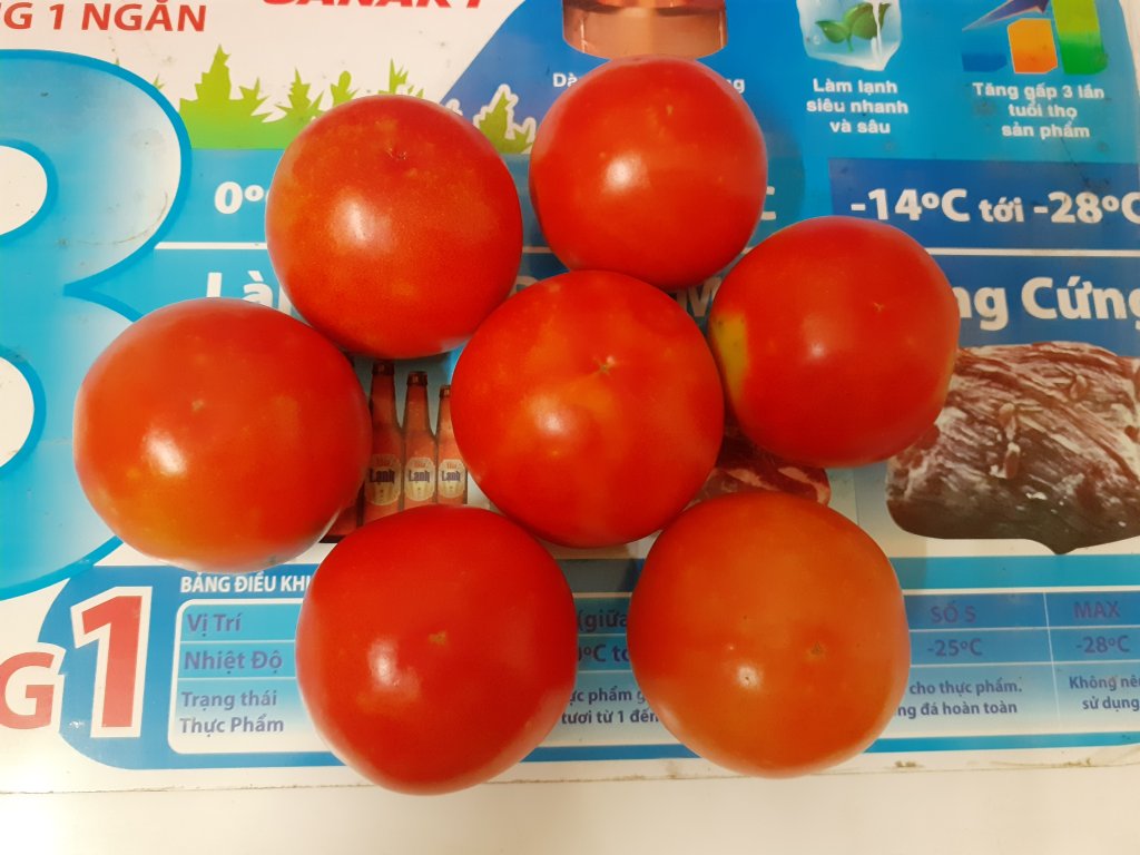 20250527_182313.jpg