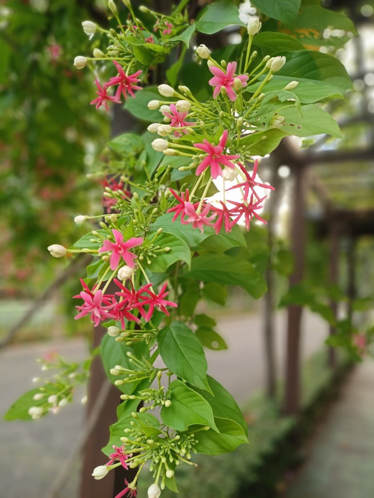 IMG20250516180010.jpg