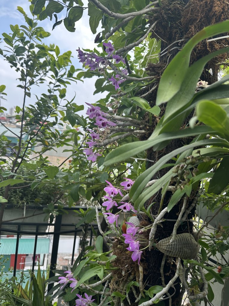 IMG_1265.jpeg