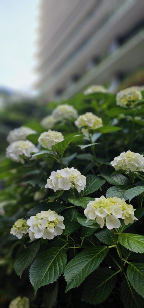1000020124.jpg