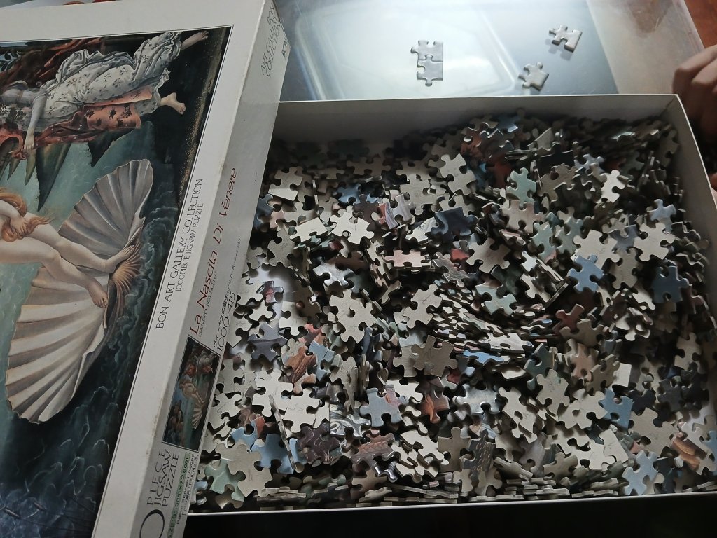 20250529_180717.jpg