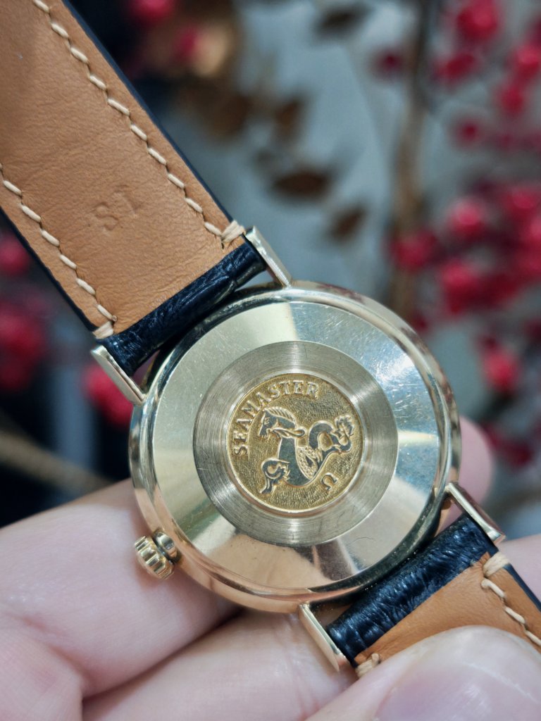1000103077.jpg