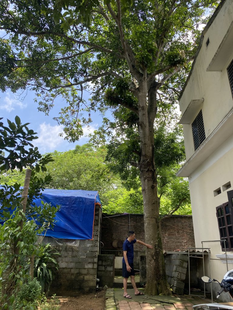 IMG_0449.jpeg