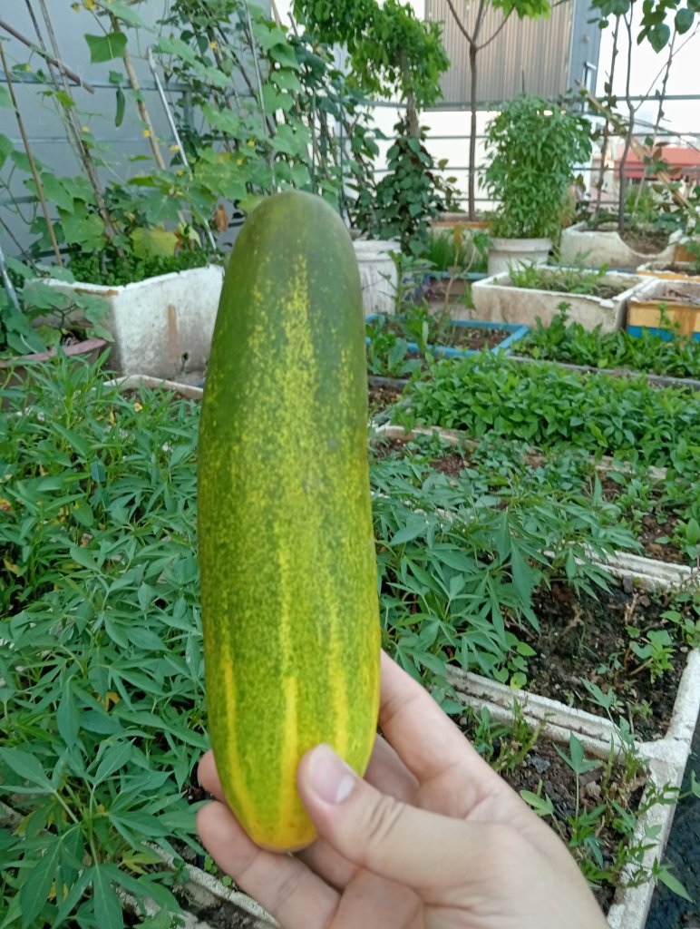 1000008115.jpg