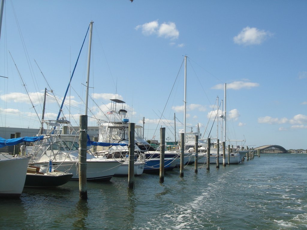 DSC07267.JPG