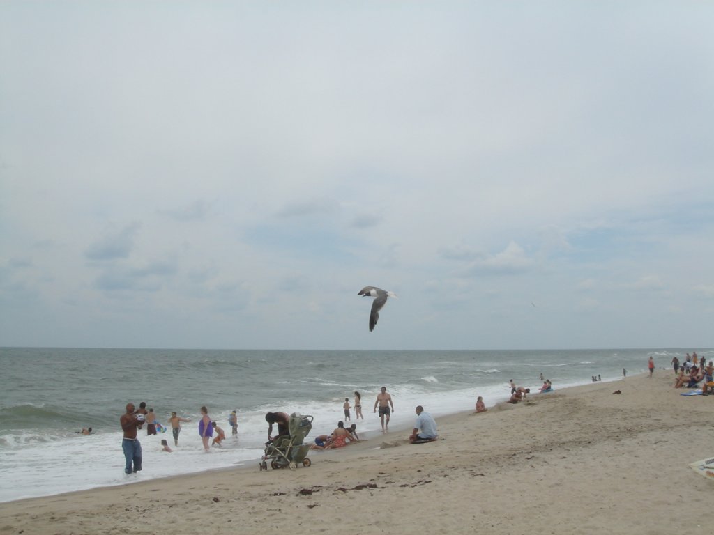 DSC08694.JPG
