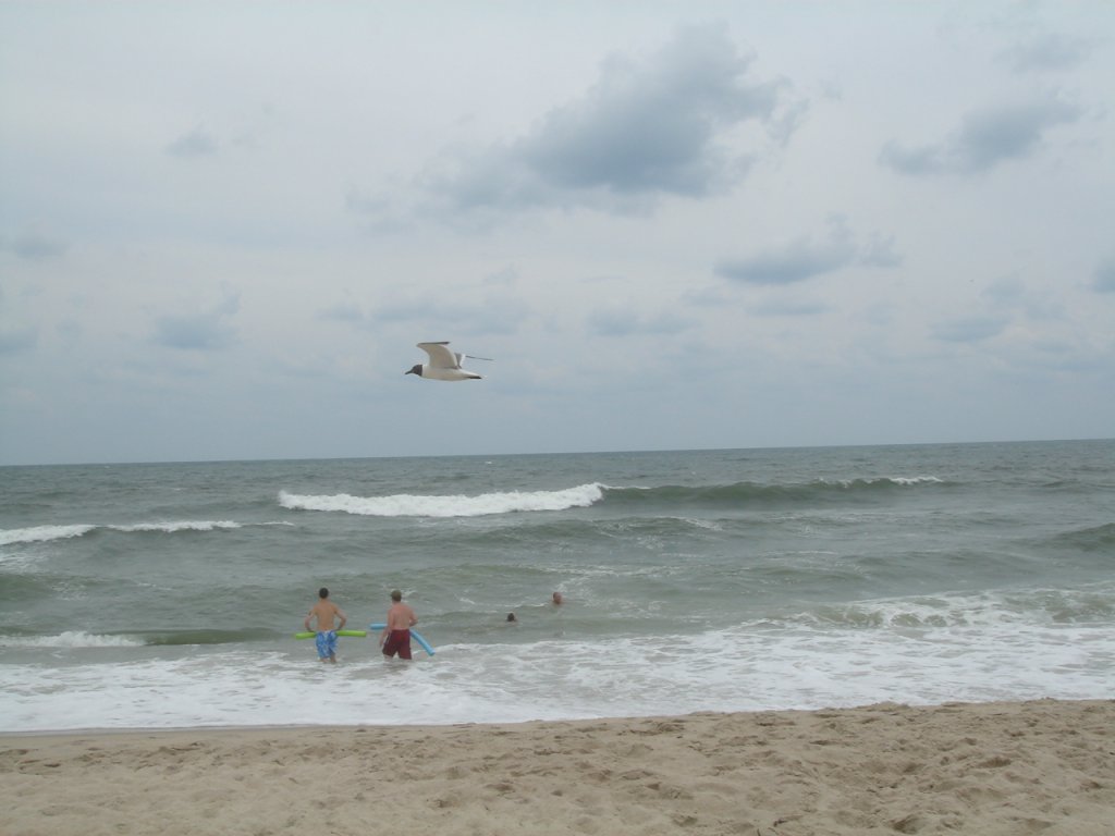 DSC08695.JPG