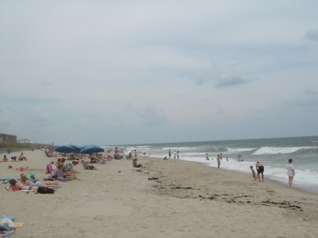 DSC08696.JPG