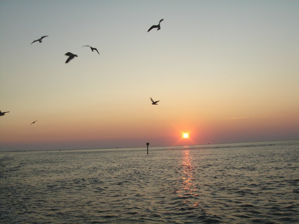 DSC01101.JPG