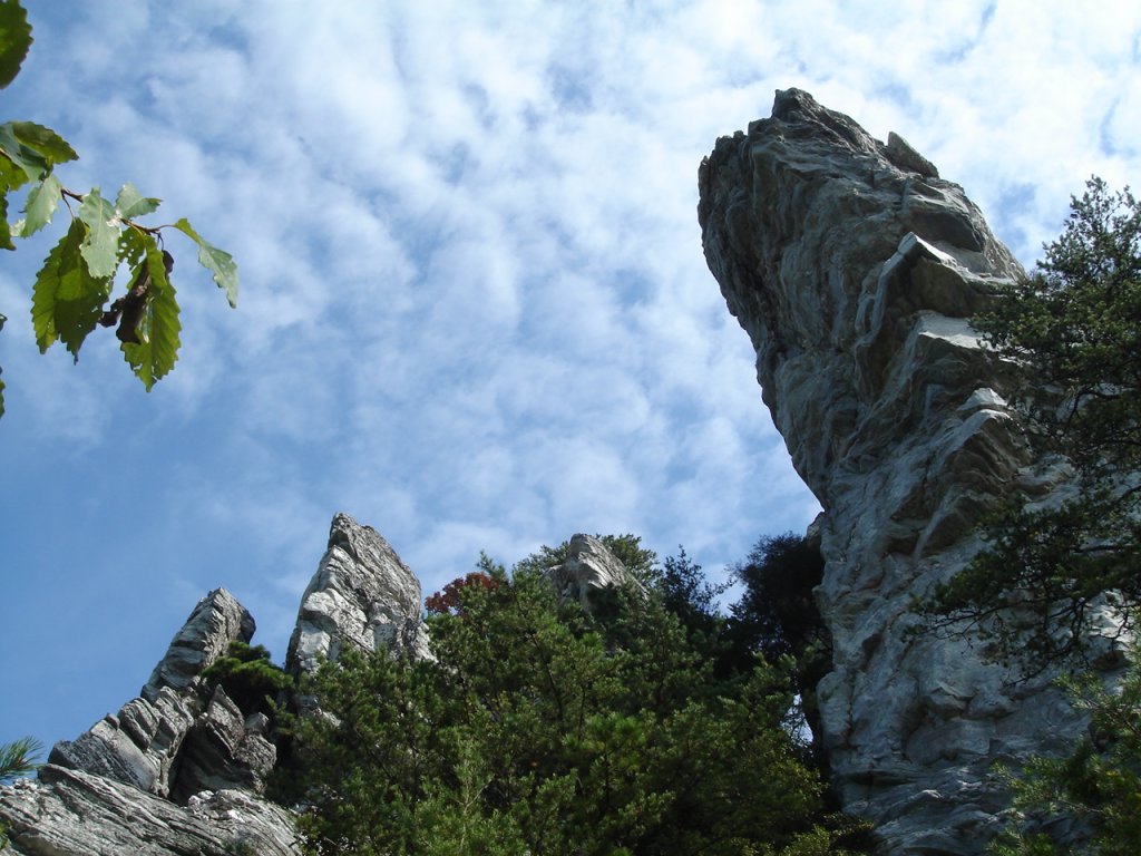 DSC03383.JPG