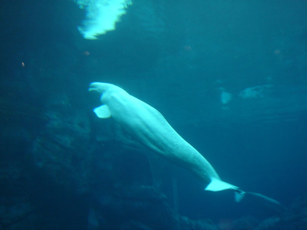 DSC04697.JPG