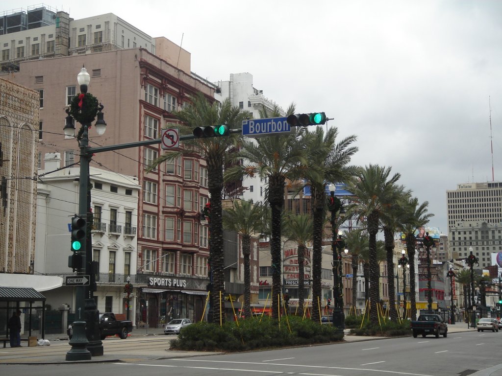 DSC05003.JPG
