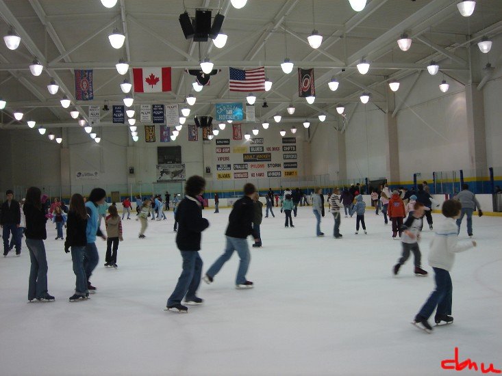 5568.jpg