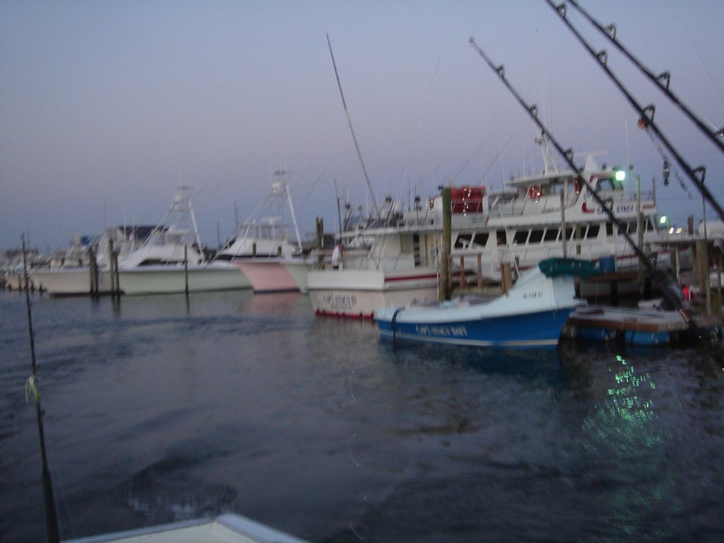 DSC07178.JPG
