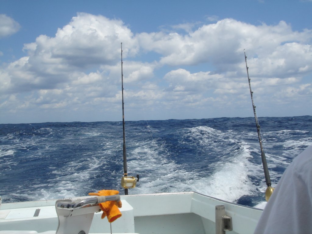 DSC07213.JPG