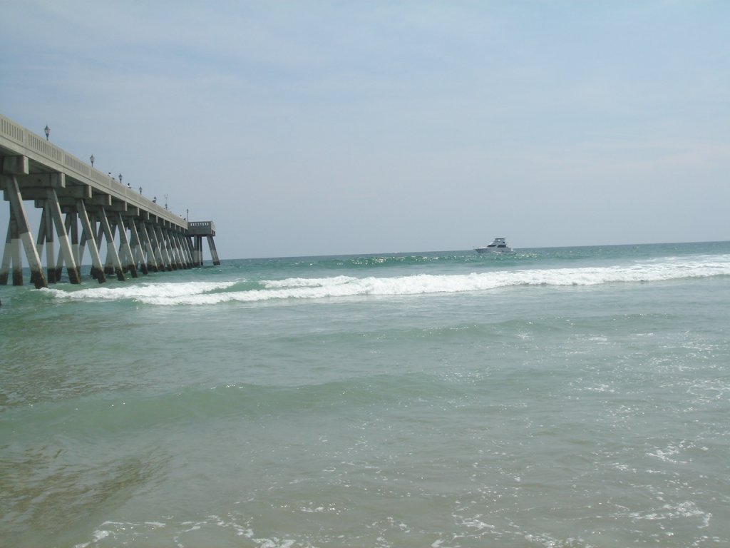 DSC02855.JPG