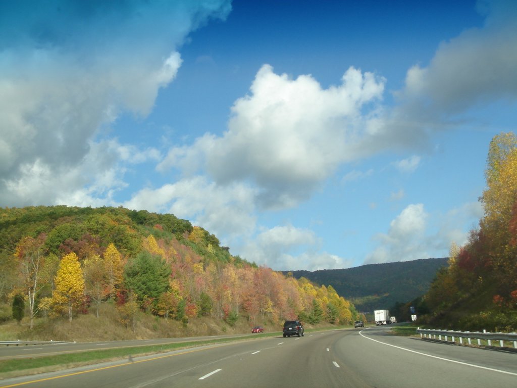 DSC09554.JPG