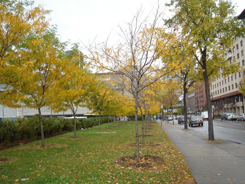 DSC03505.JPG