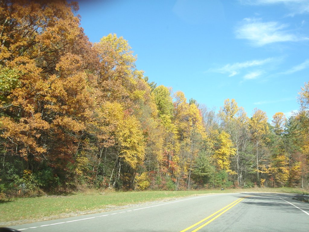 DSC08173.JPG