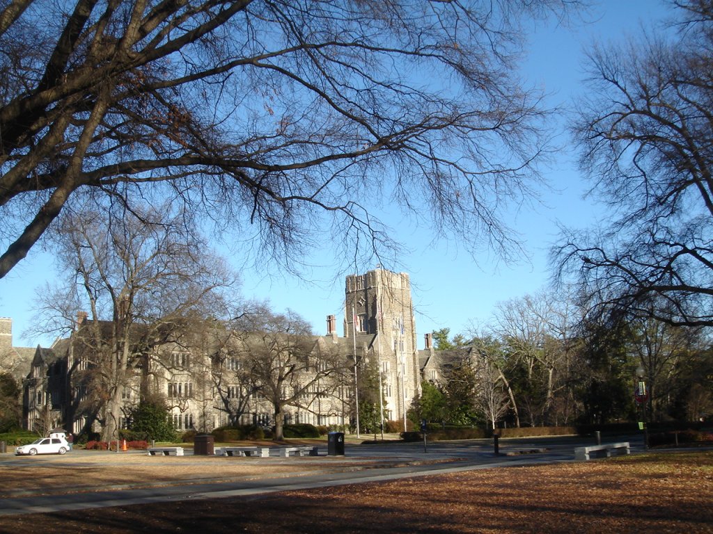 DSC03821.JPG