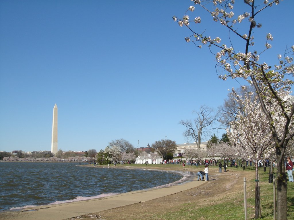 DSC06552.JPG