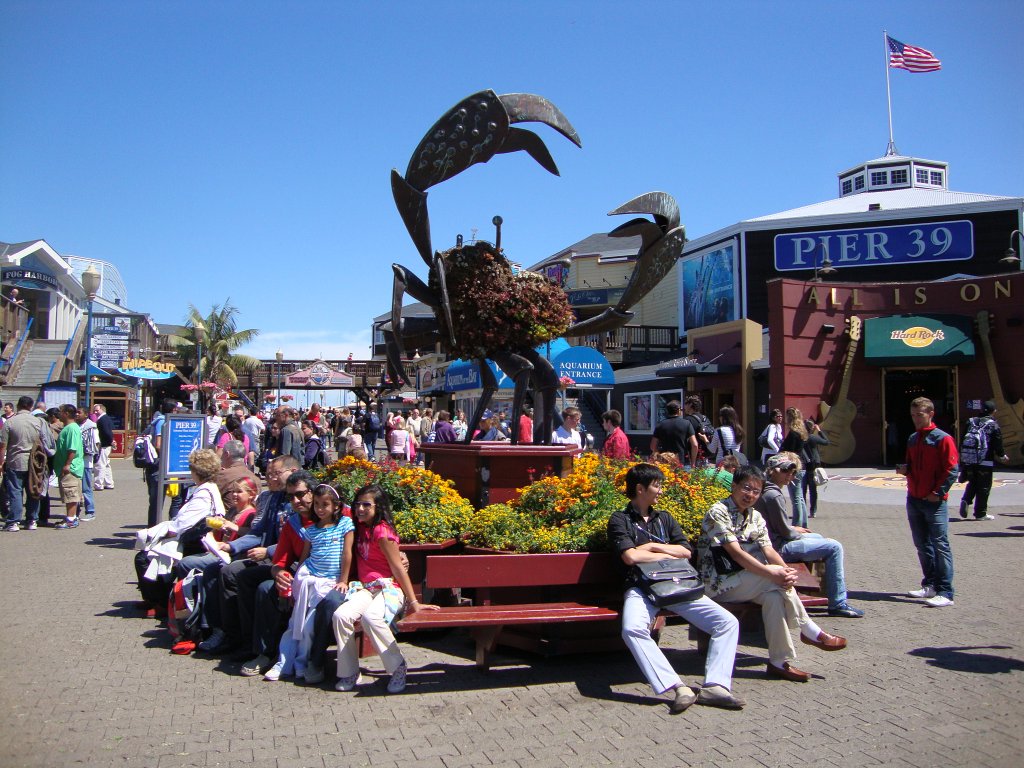 DSC08870.JPG