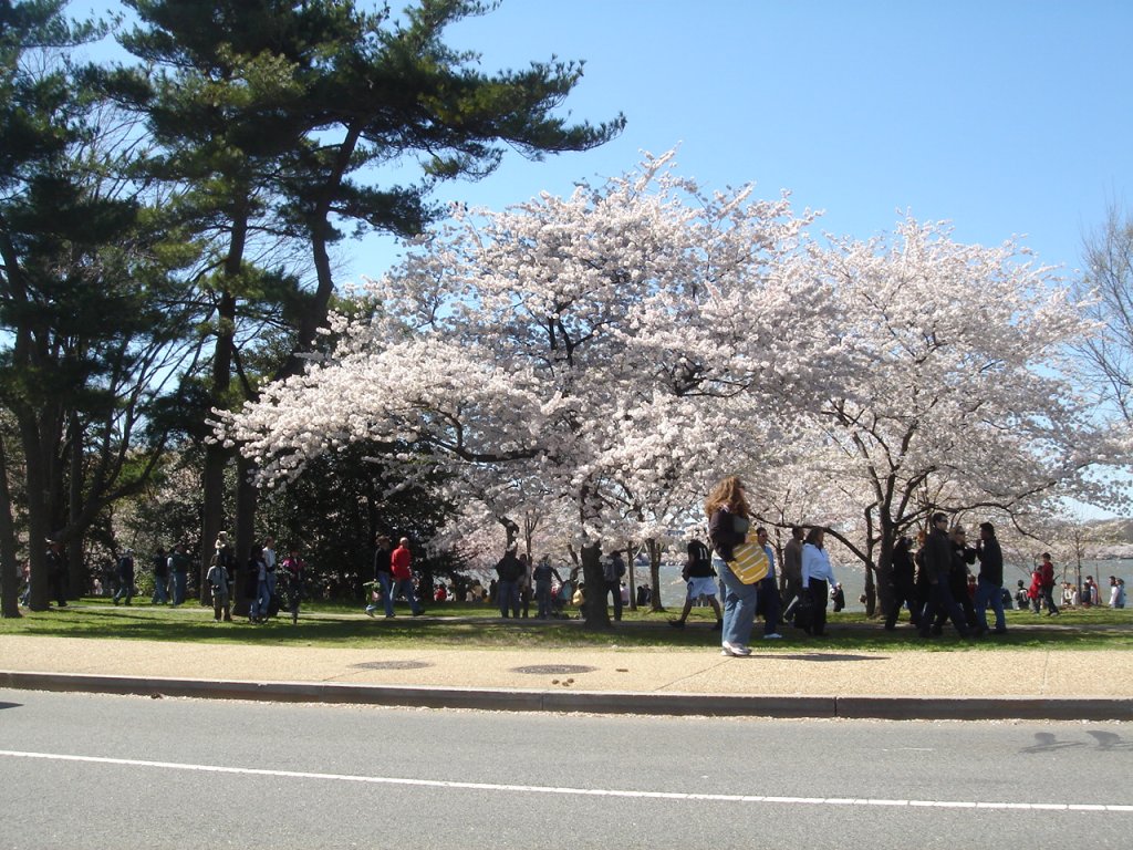 DSC06486.JPG