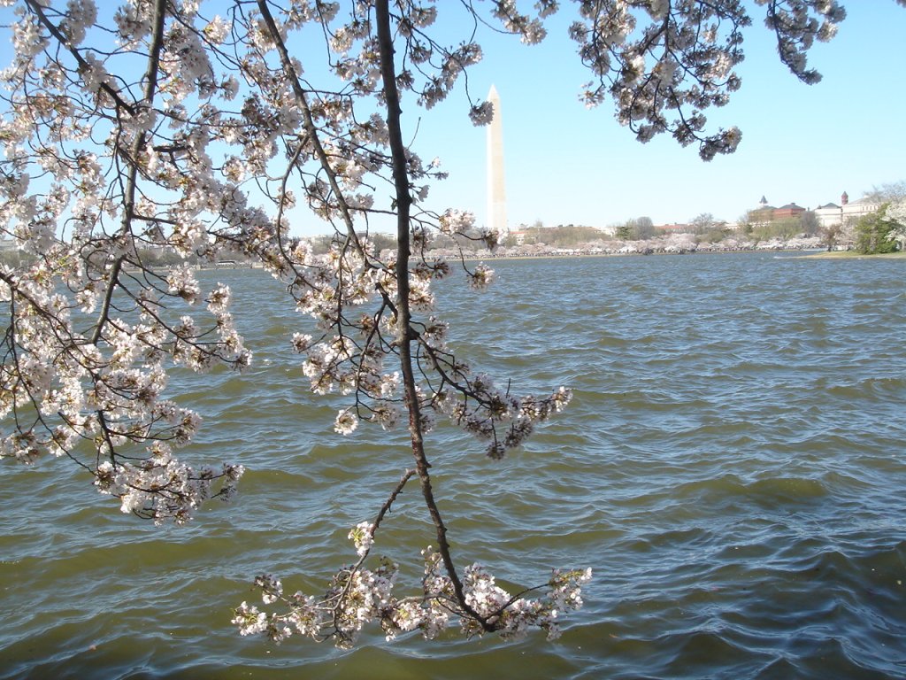 DSC06567.JPG