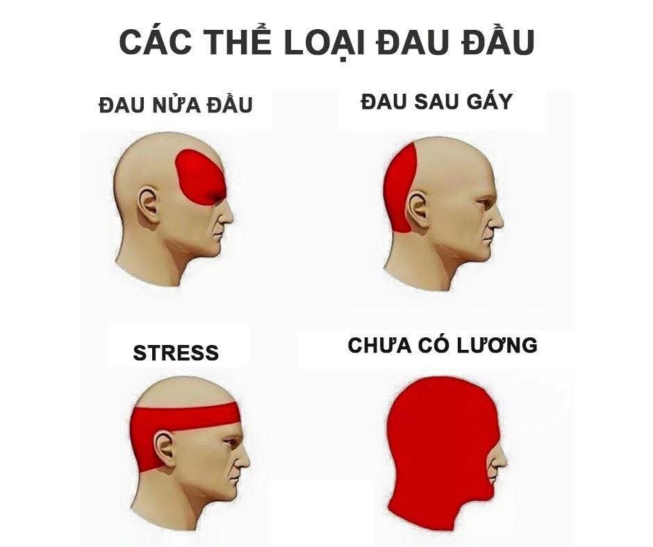 1000082565.jpg