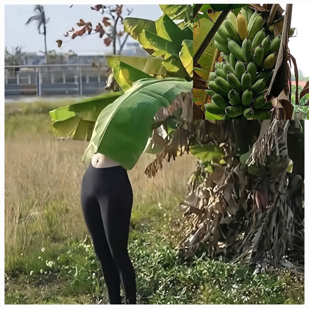 1000004753.jpg