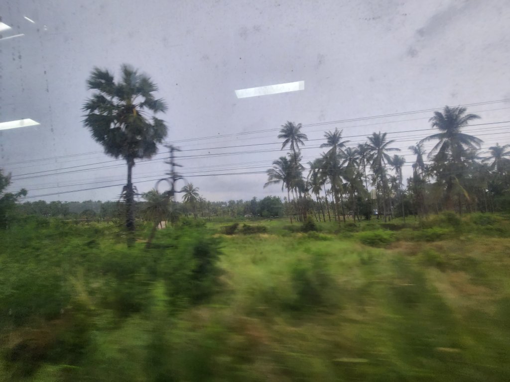 20231112_154401.jpg