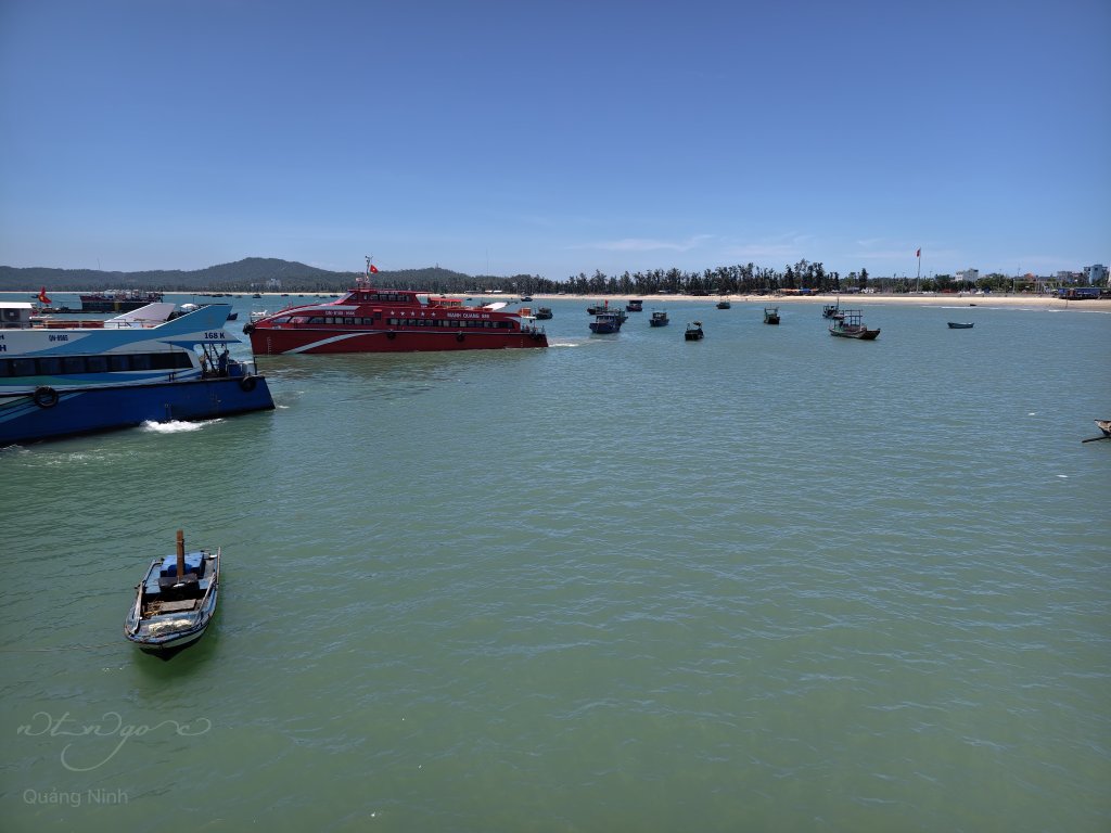 IMG_20250601_124148.jpg