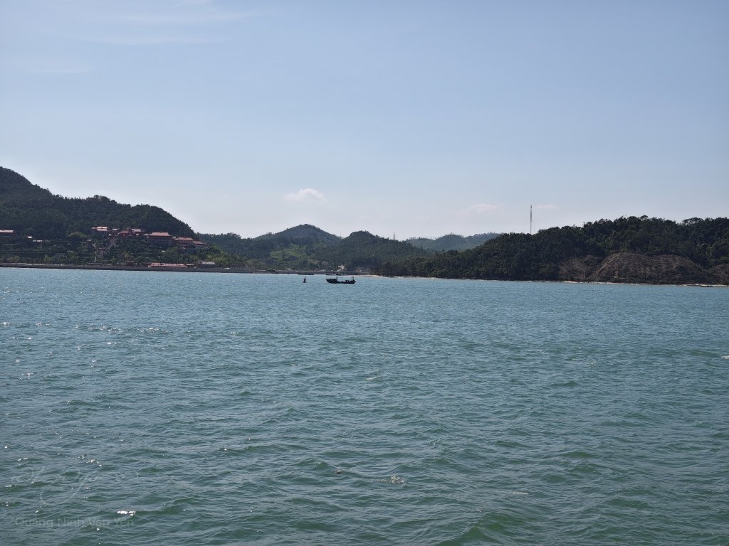IMG_20250601_142540.jpg
