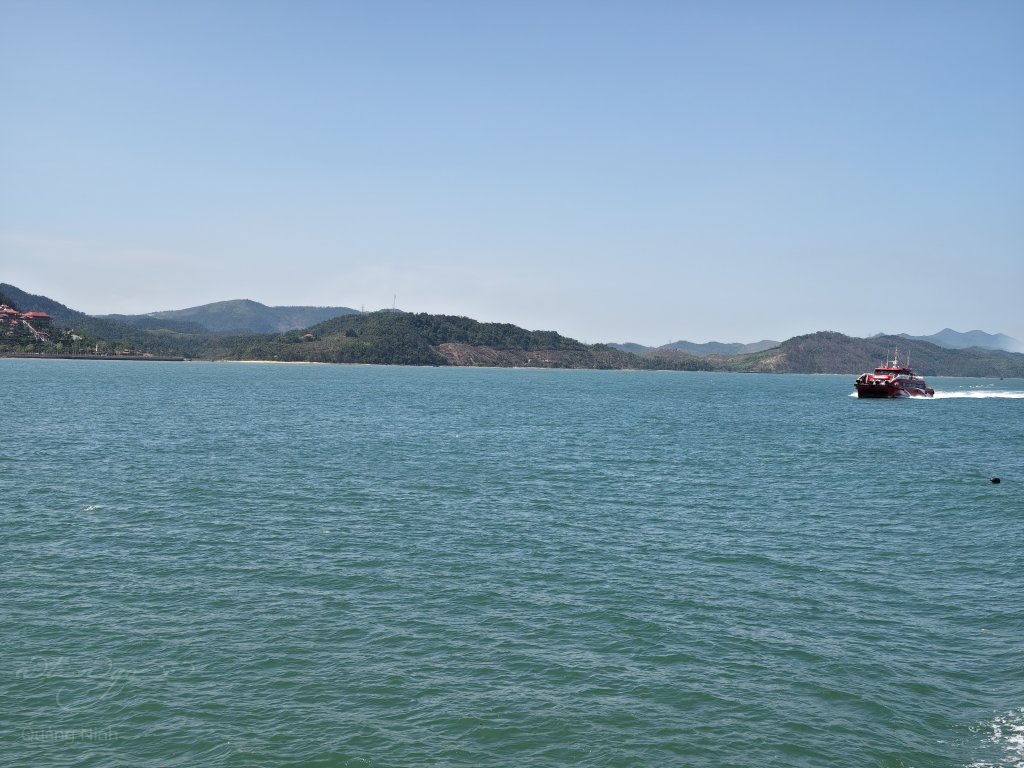 IMG_20250601_142815.jpg