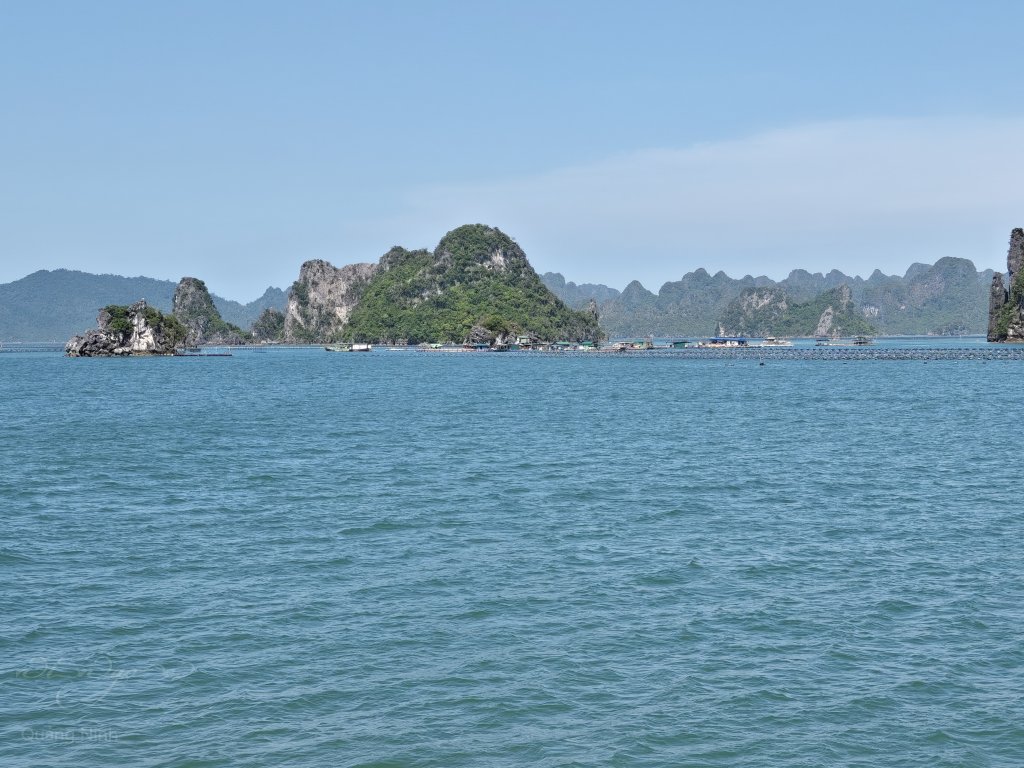 IMG_20250601_143220.jpg
