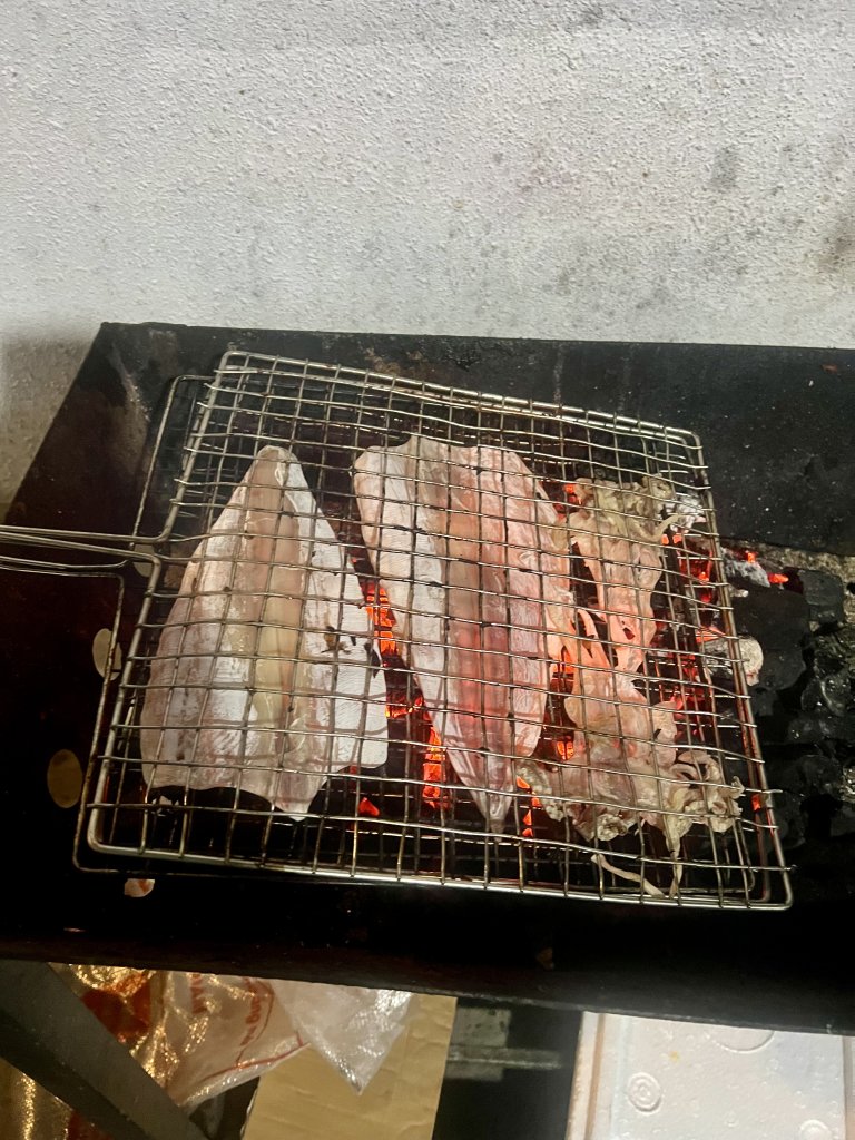 IMG_0347.jpeg