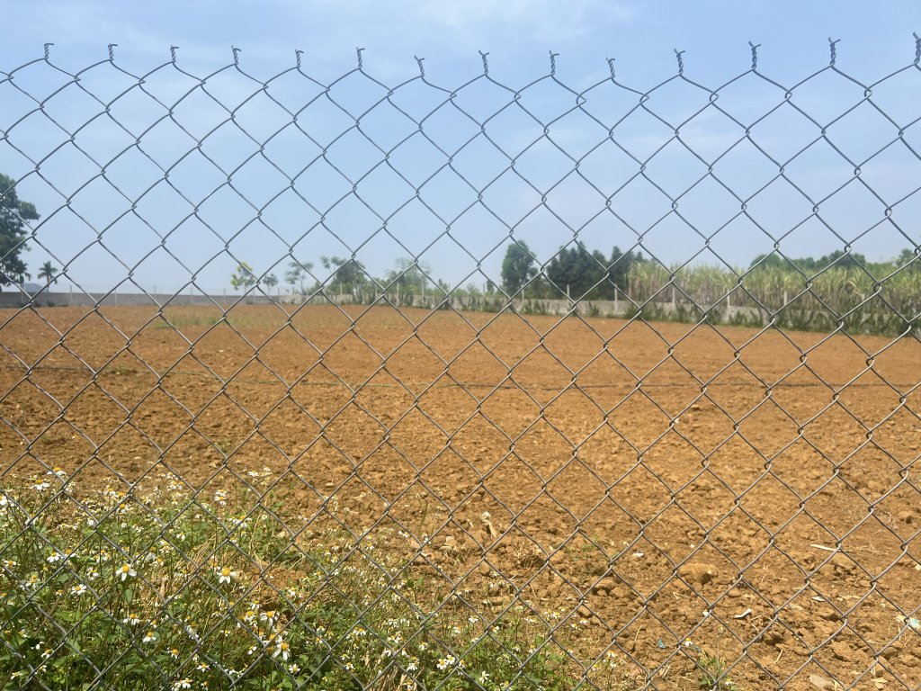 IMG_3922.jpeg