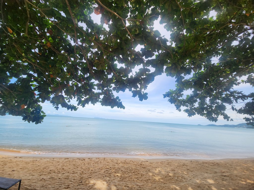 20231114_095120.jpg