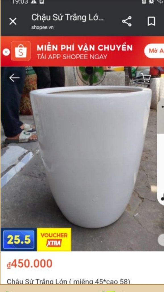 Screenshot_20250606-100420_Chrome.jpg