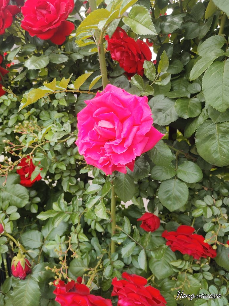 20250509_110737.jpg