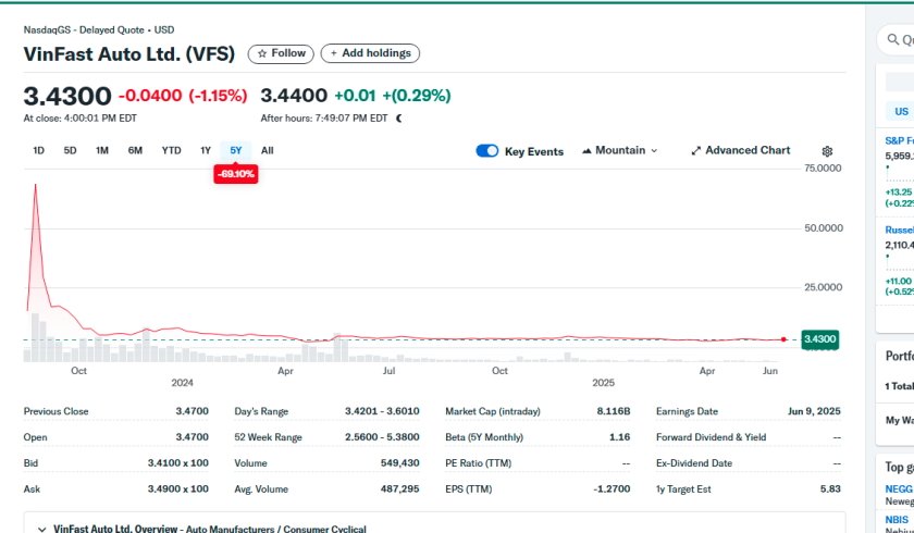 vinfast stock.JPG