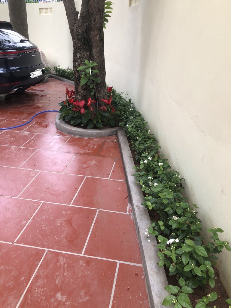IMG_0029.jpeg