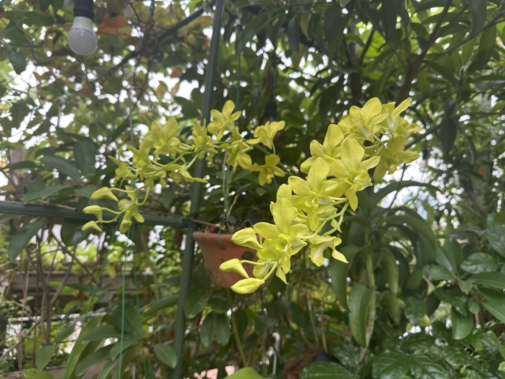 IMG_1412.jpeg