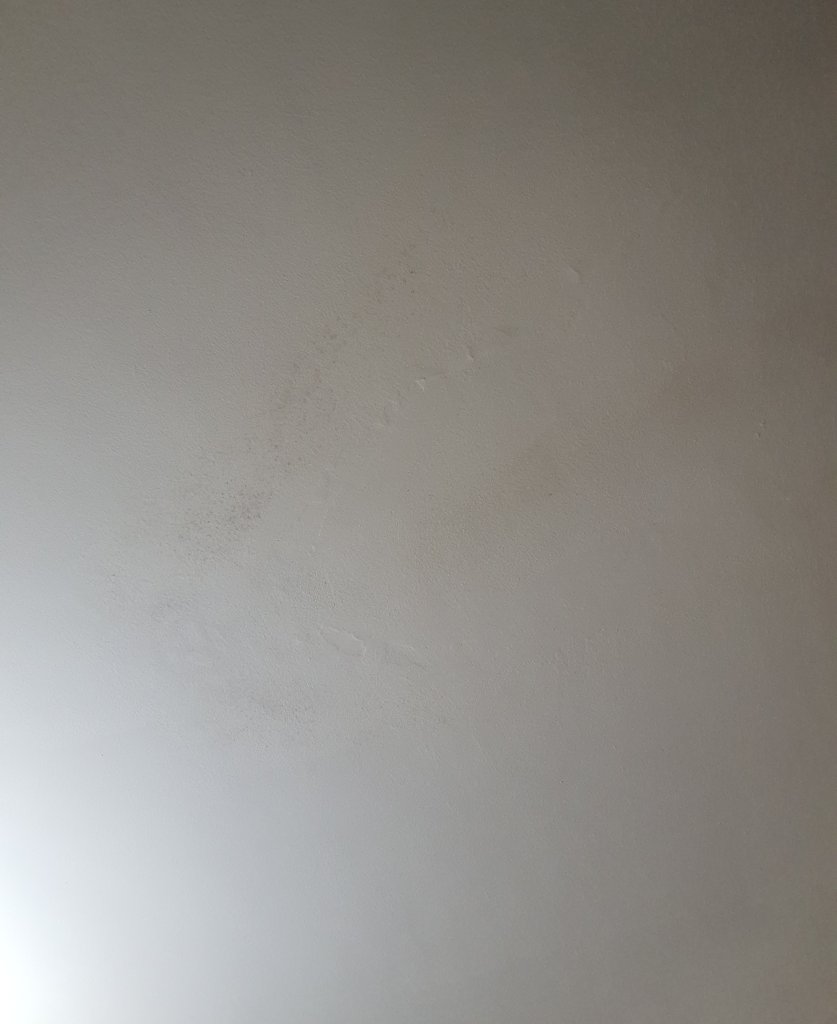 20250608_190747.jpg
