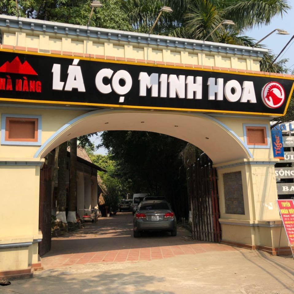 Lá cọ Minh Hoa.jpg