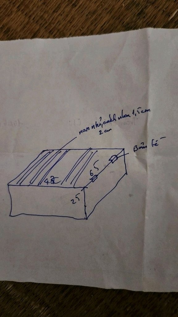 1000035254.jpg