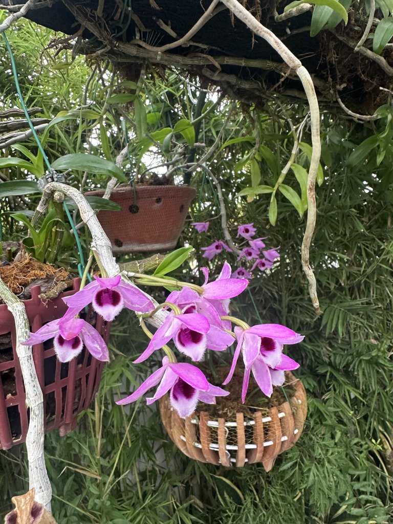 IMG_1314.jpeg