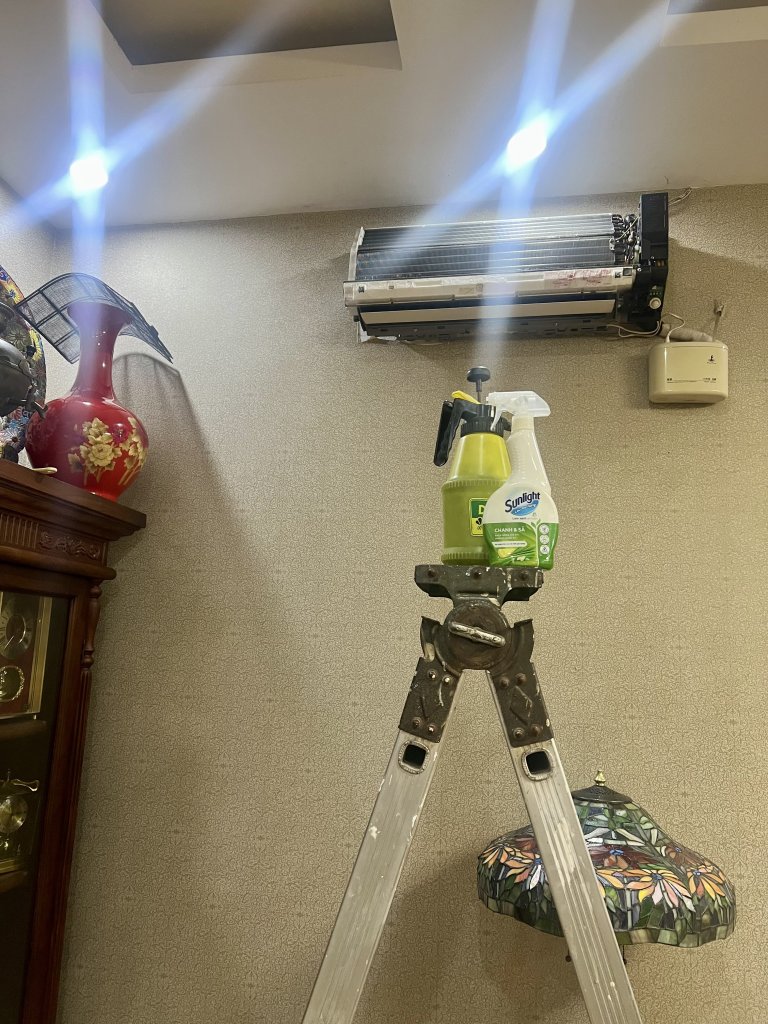 IMG_0520.jpeg